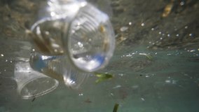 plastic pollution in oceans, underwater video. plastic pollution crisis, disposable plastics, single-use cups and bottles in the Red Sea
