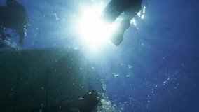 Scuba divers are rising to the water surface with beautiful sunlight rays in a shiny video.