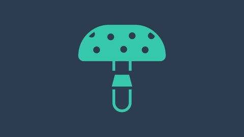 Turquoise Amanita muscaria or fly agaric hallucinogenic toadstool mushroom icon isolated on blue background. Spotted poisonous mushroom. 4K Video motion graphic animation.