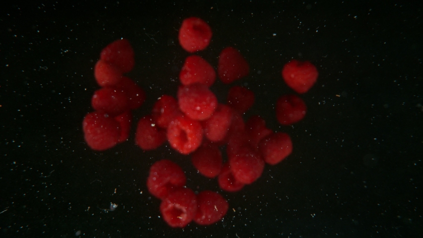Raspberries falling into water, super slow motion, filmed on high speed cinematic camera at 1000 fps. Royalty-Free Stock Footage #1087057280