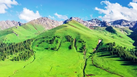 Aerial footage of green grassland and mountains with forest natural landscape in Xinjiang, China. Beautiful Nalati grassland scenery in spring.