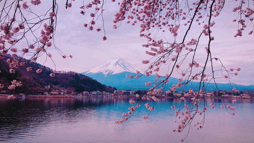 Japanese landscape of Mount Fuji seen through cherry blossom branches from the riverside  Royalty-Free Stock Footage #1087073180