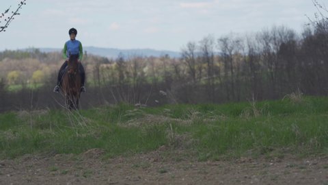 young woman rides a horse in the wild