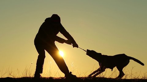  Silhouettes of a man and a dog against the sunset, the owner plays with his dog, pulls the ball, Belgian Shepherd Malinois