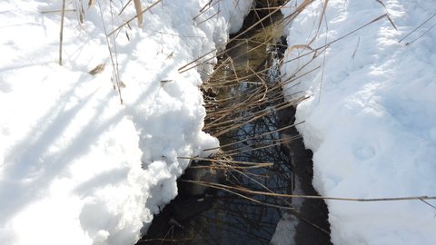 A spring stream flows against the backdrop of a snow-covered natural landscape. Thaw concept early spring, frozen.