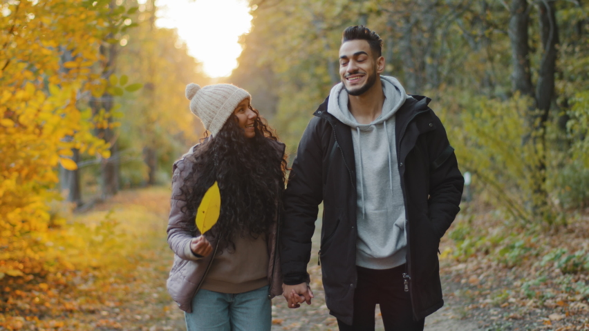 Happy young couple in love enjoy pleasant walk walking in autumn park holding hands communicate talking smiling share dream spend weekend together romantic date in nature romance relationships concept Royalty-Free Stock Footage #1087091237