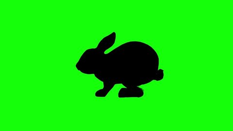 animal silhouettes rabbit jumping and eating on green screen