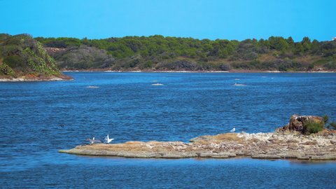 Es Grau, Menorca - Spain

Birds in the wetlands of Albufera des Grau Natural Park.
