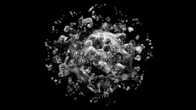 3d render of abstract art animation video with surreal black and white monochrome alien flower based on small meta balls particles in fractal symmetry structure in rotation transformation process
