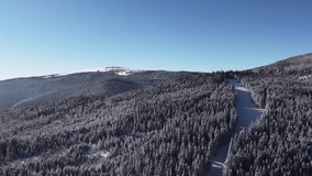 Aerial Shot of Winter Forest on a Sunny Day with Clear Blue Sky, Trees Covered with Snow, Drone Above the Mountain, Landscape, Wide