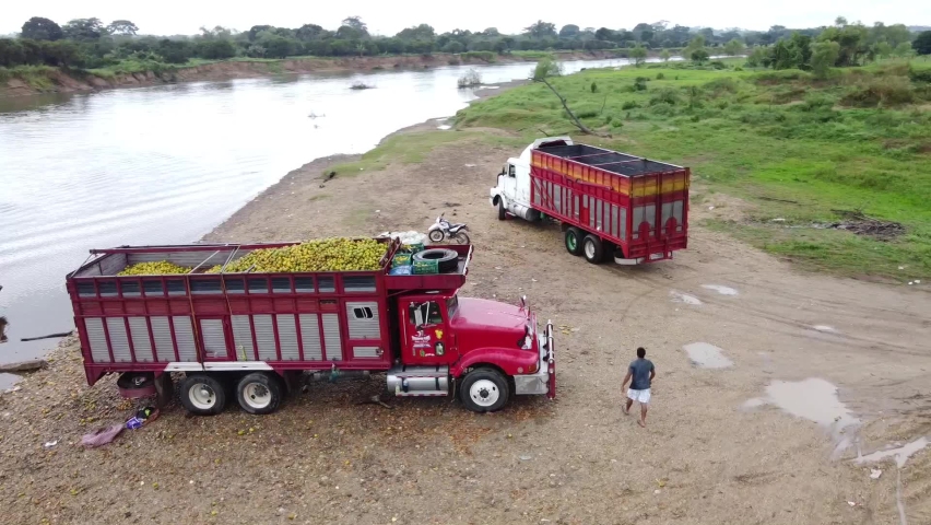 loading truck with oranges in the river