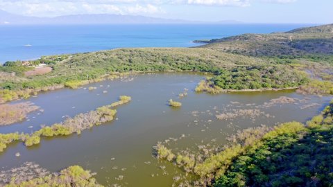Aerial view of mangroves and wetland of Azua, Dominican Republic