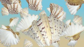 Sea shells falling down. Slow motion. - Powered by Shutterstock - Get 15% off with code: PIKWIZARD15