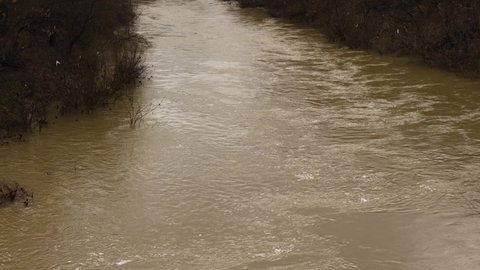 A muddy river with brown water. Slow current. A muddy river during a winter flood