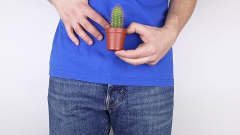 Concept. A man holds a cactus near his fly. Problems of the genitourinary system. Prostatitis. Painful bowel movements. Men problems. Oncology. Prostate problems