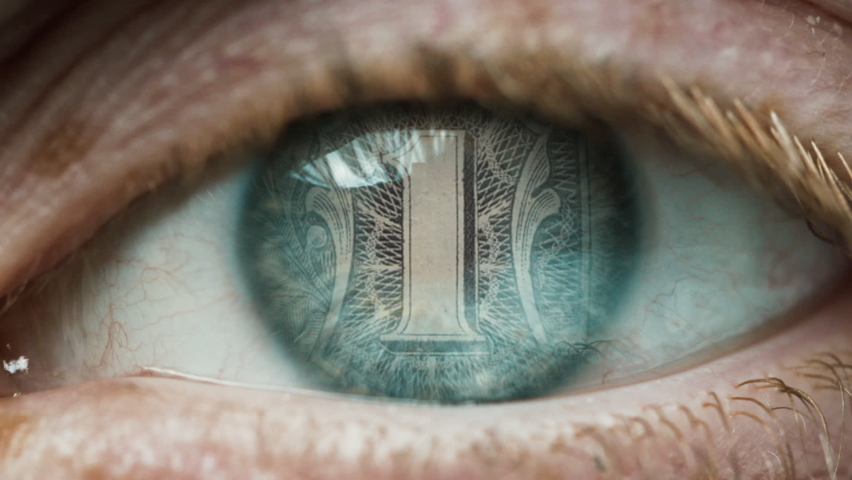 Us Dollars Bills Money in Eye Looking in Woman Close-up. See Many USA Dollar Banknote in Macro Reflection Eyes. Concept Analysis Global Invest Sight. Paper for Pay and Buy. Profit Counter Management | Shutterstock HD Video #1087149959
