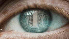 Us Dollars Bills Money in Eye Looking in Woman Close-up. See Many USA Dollar Banknote in Macro Reflection Eyes. Concept Analysis Global Invest Sight. Paper for Pay and Buy. Profit Counter Management - Powered by Shutterstock - Get 15% off with code: PIKWIZARD15