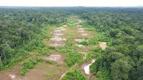 France, French Guiana, Amazon rainforest, former gold panning site abandoned for 6 years. We see deforestation and colored polluted water. 