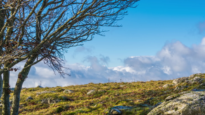 Clouds Moving Behind Top of Hill one Tree in the Rocky Ground