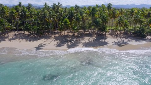 Aerial view around palm trees on the coast of Playa Costa Esmeralda, Miches in Dominican republic