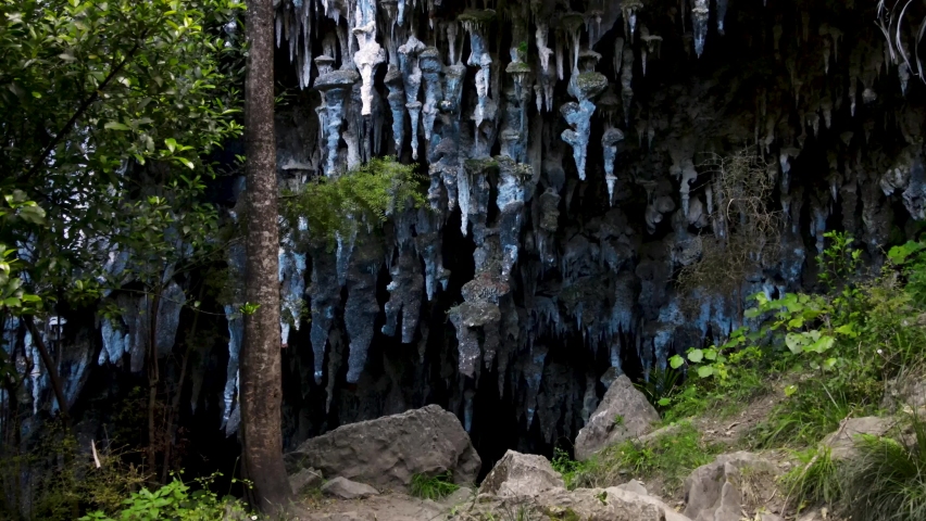 Stalactite formation hanging on Rawhiti Cave wide entrance. Hidden New Zealand underworld nature. Royalty-Free Stock Footage #1087166939