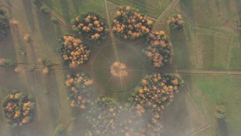 Aerial view through white clouds of a circle of white birches in Pavlovsk Park, landscape design of the forest, golden autumn in a public park. Treetops, paths in the forest.
