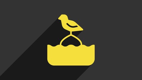 Yellow Seagull sits on a buoy in the sea icon isolated on grey background. 4K Video motion graphic animation.