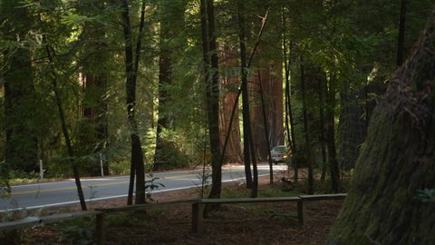 October 12, 2021. Cars on Humboldt County California Redwood Highway 101