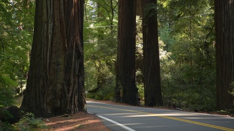 October 12, 2021. Humboldt County California Redwood Highway 101
