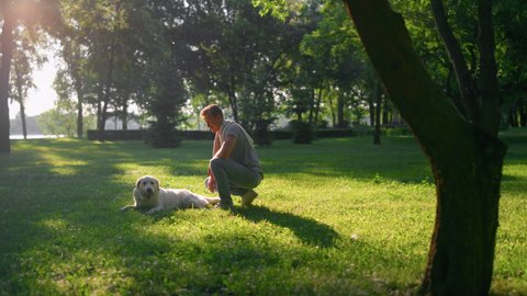Joyful happy man petting tired golden retriever lying on field after training. Smiling owner complimenting massaging touch soft fur fluffy friend dog resting relaxing in shadow on lawn. Animal caress