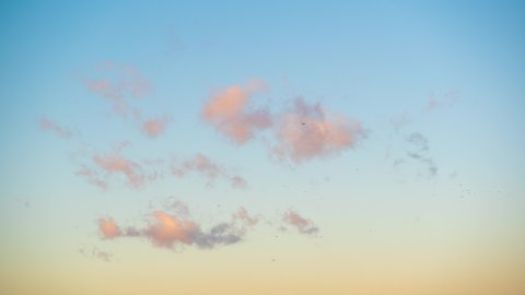 Beautiful blue and orange cloudy sunset sky video background. 4k stock time lapse of cute small fluffy pink and orange clouds, many black birds flying in clear blue sky background during sunset time