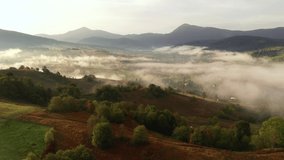 Dramatic rural landscape with fresh fog from a bird's eye view. Location place Carpathian mountains, Ukraine, Europe. Aerial footage, cinematic drone shot. Filmed in UHD 4k video. Beauty of earth.