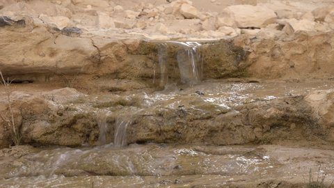 Flowing water in narrow stream inside the En Avdat national park, a desert oasis in the Negev in Southern Israel