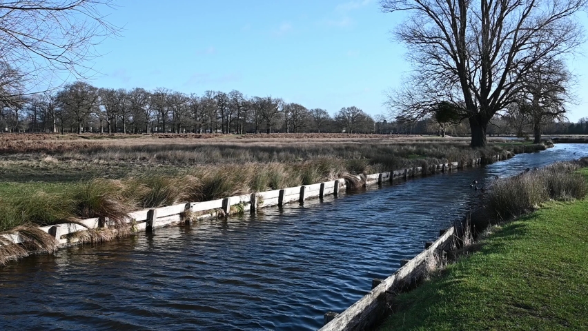 Gentle flowing stream between two ponds at Bushy Park in Surrey UK