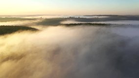 Thick fog moves between hills and forests. Spectacular footage from a bird's eye view. Location place Dniester canyon, Ukraine, Europe. Cinematic drone shot. Filmed in UHD 4k video. Beauty of earth.