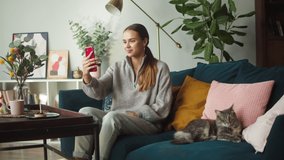 Woman speaking on virtual conference on smartphone and showing cat lying on sofa. Female student using video call near grey kitten. Pedigreed pet relaxing. Happy domestic animal