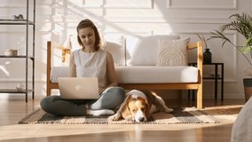 Young woman making video call, video chatting, talking. Nearby is a Dog Beagle and preparing to sleep. The puppy is resting. Mans best friend. Online Communication Concept. Slow Motion