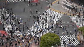 slowmotion footage tokyo shibuya crossing from top view network technology concept