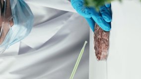 Vertical video of medical scientist inspecting minced vegan meat, working in laboratory. Food research, genetic Modifications of Product. Microbiologist analyzing lab-grown pieces of meat.