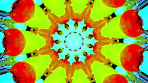 video in repetitive movements mandala style with circles that are opening in bright colors red, orange, blue, green and black