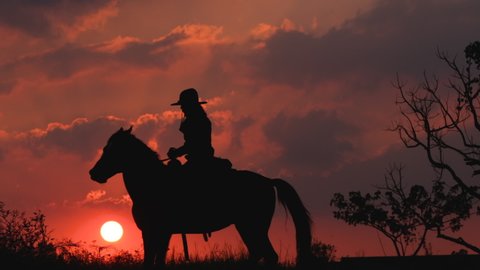 Silhouette one cowboy is riding horse in front of sunset on slope near tree. Beautiful sky with natural light as background.