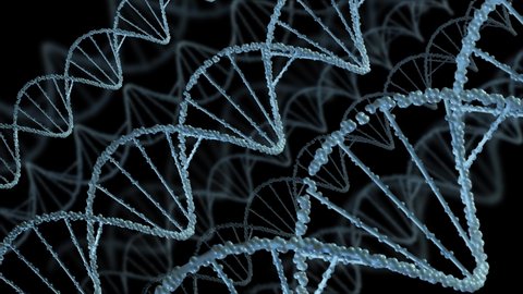 3D animation of DNA  on blue background. Hologram blue glowing rotating DNA double helix. Science and medicine concepts. 3d render