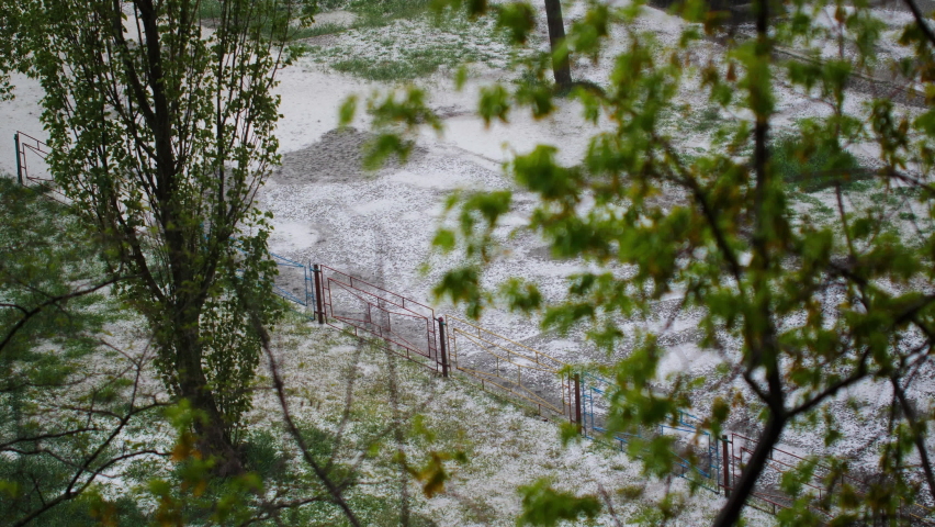 Heavy rain with snow falls on a lawn with green grass and a pedestrian sidewalk. A woman with an umbrella walks in heavy rain. natural anomaly. Ice hail falls into large puddles. Trees with leaves
