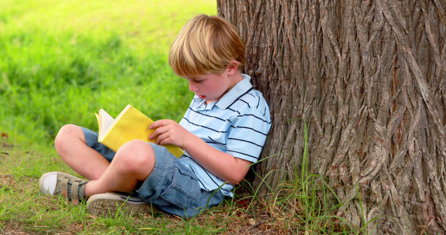 Animation of books moving over boy reading book leaning against tree. children