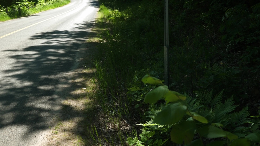 Country corner with yellow road sign. Bend in the road. Ontario, Canada.