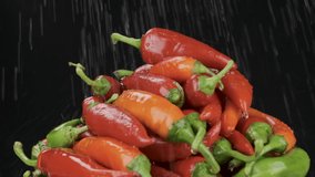 Slow motion. Torrential rain shower fall on a spinning pile of ripe organic hot pepper. Whole rotating vegetables. Isolated black background - Powered by Shutterstock - Get 15% off with code: PIKWIZARD15