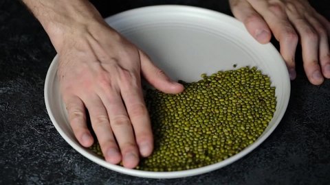 Man picking beans. Germination of microgreens. Beans in a ceramic white plate with male hands. Mash, mung bean, Asian bean, mung bean.