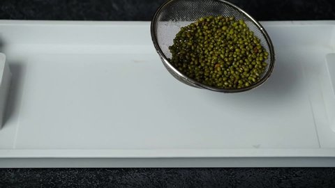 Germination of microgreens. Beans in a ceramic white plate with male hands. Mash, mung bean, Asian bean, mung bean.