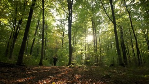 Woman running with her dog dog in the park forest. travel concept. Wide shot . Slow motion