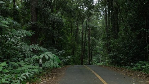 footage of road that cuts through a rainforest in a tropical country
